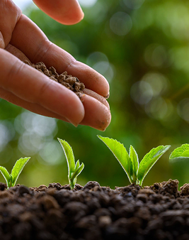 Register for MCAs Green Initiative